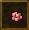 Rose Seed