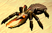 Desert Scarab